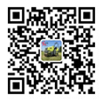 瑞通金屬電話(huà)